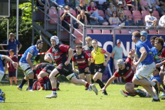 Rugby 1st Bundesliga South/West, 2024/25 season, final phase semi-final: SC Frankfurt 1880 vs SC