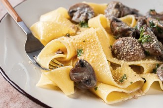 Delicious pappardelle pasta with mushrooms and cream served on a white plate