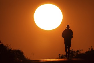 A jogger runs at sunrise on a country lane near Frankfurt am Main, Frankfurt am Main, Hesse,