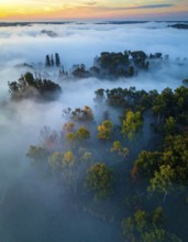 Mystical foggy landscape in autumn, colorful forest with fog in an aerial drone view, AI generated