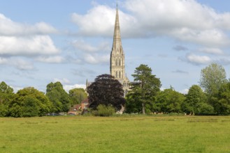 View over water meadows to Salisbury cathedral church, Salisbury, Wiltshire, England, UK