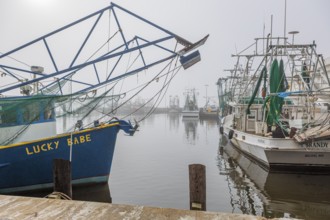 Commercial shrimp boats at the dock in the commercial area of the Biloxi Small Craft Harbor in