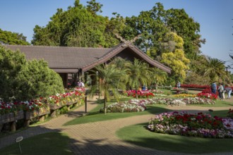 Ornate trees and lush flower gardens enhance the Lanna and Swiss architecture of the Doi Tung Royal
