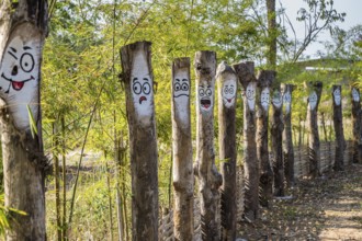 Walkway at the Akha Cottage coffee shop and restaurant in Chiang Rai Thiland asks What is your mood