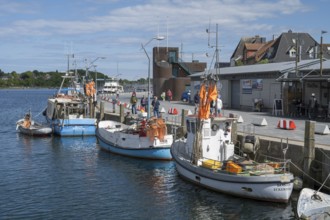 Fishing boats in the harbour, Eckernförde, Baltic Sea, Schleswig-Holstein, Germany