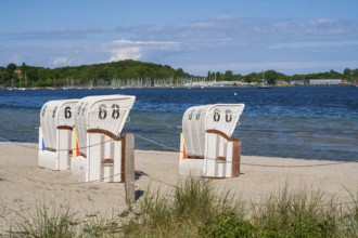 Beach chairs on the sandy beach, Kurstrand, Eckernförde, Baltic Sea, Schleswig-Holstein, Germany