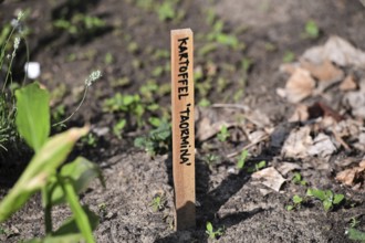 Outdoor exhibition on agriculture and cultivation in front of the Futurium next to the Federal