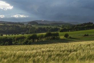 Dramatic cloudy sky with approaching storm and last rays of sunshine, Frankenhain, dark cloud wall,