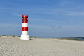 Lighthouse Helgoland dune on the south beach, red and white, Helgoland dune, island Helgoland,