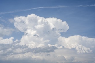 Auftürmende Cumulonimbuswolke, Gewitterwolke, aufziehendes Unwetter mit Hagelsturm über der