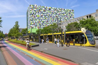 Rainbow cycle path through the university campus in Utrecht Science Park, 570 metres long, Utrecht