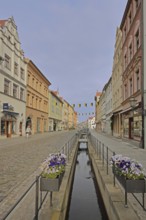 Historic pipe water in the Schlossstraße with flower decoration and houses, sewage, water pipe,