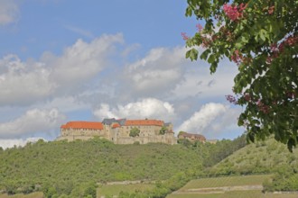 Neuenburg Castle, Freyburg, Romanesque Road, Saxony-Anhalt, Germany