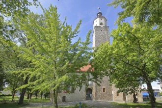 Castle with tower and museum, Lützen, Saxony-Anhalt, Germany