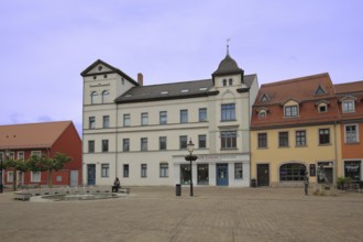 Holzmarkt with houses and monument to philosopher Friedrich Nietzsche, Saale, Naumburg,