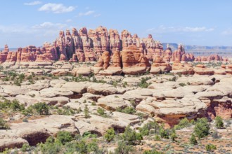 Sandstone pinnacles, Chesler Park, The Needles district, Canyonlands National Park, Utah, USA
