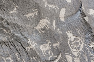 Indian petroglyphs, Newspaper Rock State Park, Utah, USA