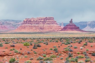 Valley of the Gods, elevated view, Utah, USA, North America