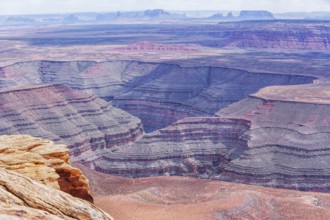 Goosenecks State Park, Utah, USA
