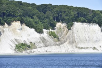 Chalk coast at Jasmund National Park on Rügen, Mecklenburg-Western Pomerania, Germany