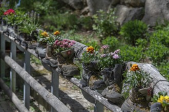 Wooden railing with flowers in worn mountain boots, Bavaria, Germany