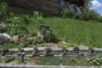 Wooden railing with flowers in worn mountain boots, Bavaria, Germany