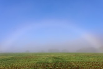 An arc of fog appears over a misty field radiating a calm atmosphere, Mönchberg, Miltenberg,