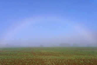 An arc of fog stretches across a misty morning sky, overlooking fields, Mönchberg, Miltenberg,