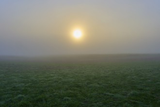 Lonely sunrise behind fog over a quiet field, creates a mystical environment, Mönchberg,