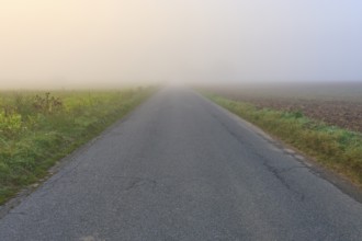 Abandoned road in the fog, flanked by fields, in calm autumn light, Mönchberg, Miltenberg,