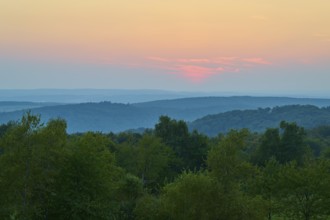 Hill with trees at dusk, pink sky, quiet landscape, Geishöhe, Dammbach, Spessart, Bavaria, Germany