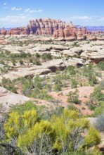 Sandstone pinnacles, Chesler Park, The Needles district, Canyonlands National Park, Utah, USA