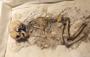 Neolithic archaeology exhibition inside Alexander Keiller Museum, Avebury, Wiltshire, England, UK -