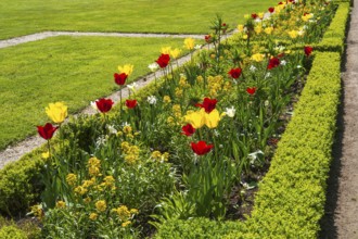 Flower bed with red and yellow tulips, castle park, Schloss Neuhaus, Paderborn, Westphalia, North