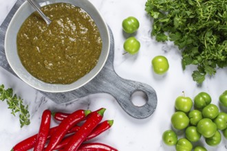 Tkemali sauce, made from green cherry plum, with ingredients on the table, top view, Georgian