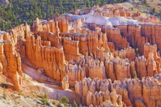 Bryce Canyon, Bryce Canyon National Park, Utah, USA