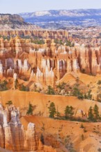Bryce Canyon, Bryce Canyon National Park, Utah, USA