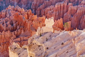 Bryce Canyon, Bryce Canyon National Park, Utah, USA