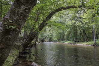 Oconaluftee River flows through the Oconaluftee Visitor Center at Great Smoky Mountains National