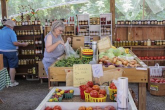 Senior couple shopping for fresh vegetables at roadside produce stand near Hayesville, North
