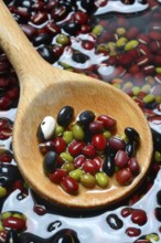 Dried beans placed in water to soak, wooden spoon
