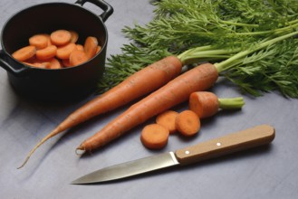 Carrots with leafy greens, carrot slices, Daucus carota