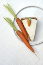 Carrot cake and carrots on a plate, carrot cake, carrot cake