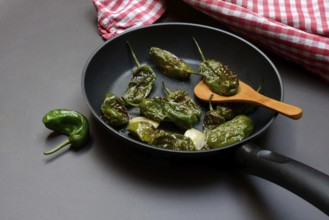 Pan-fried pimientos de padron in olive oil, roast peppers