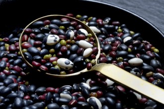 Various beans in ladle, dried beans
