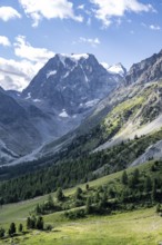 Picturesque mountain landscape, mountain valley with mountain peak Mont Collon, Arolla, Valais,