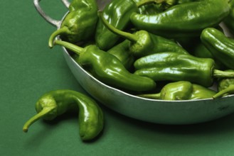 Padron chilli peppers in shell, Pimientos de Padron