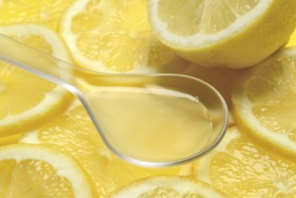Lemon juice in ladle and lemon slices, Citrus x limon