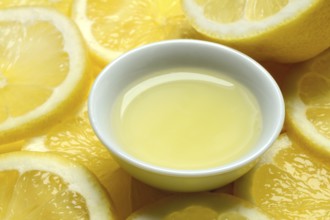 Lemon juice in peel and lemon slices, Citrus x limon