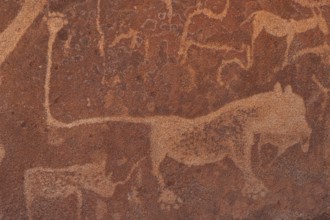Detail, rock engraving of a lion, depictions of animals on a rock slab, lion slab, petroglyphs,